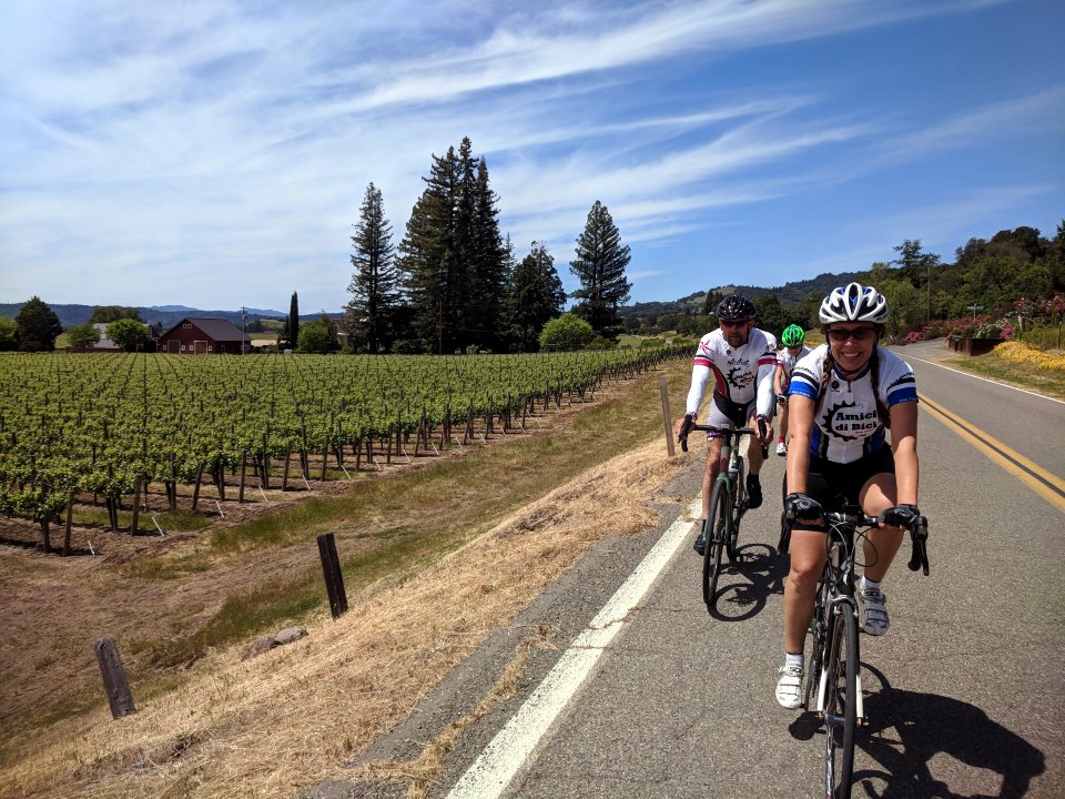 Three cyclists riding on a rural road with vineyards and trees in the background on a sunny day.