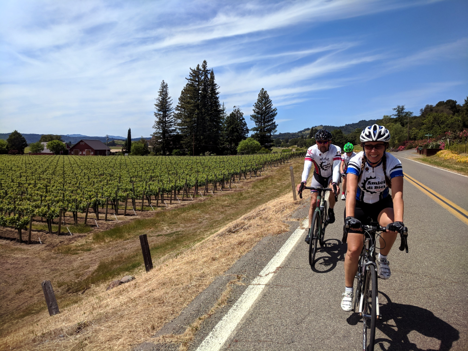Three cyclists riding on a rural road with vineyards and trees in the background on a sunny day.