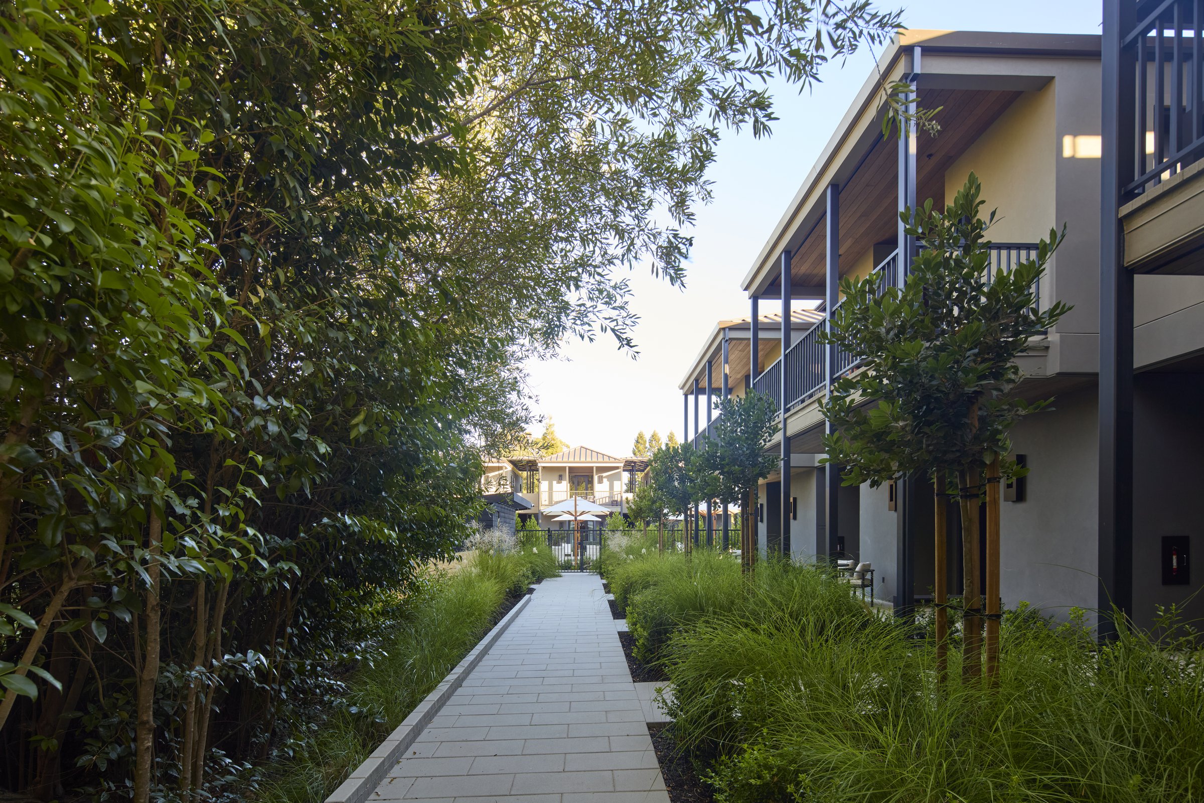 The walkway between the Creekside Suites and the creek greenery.