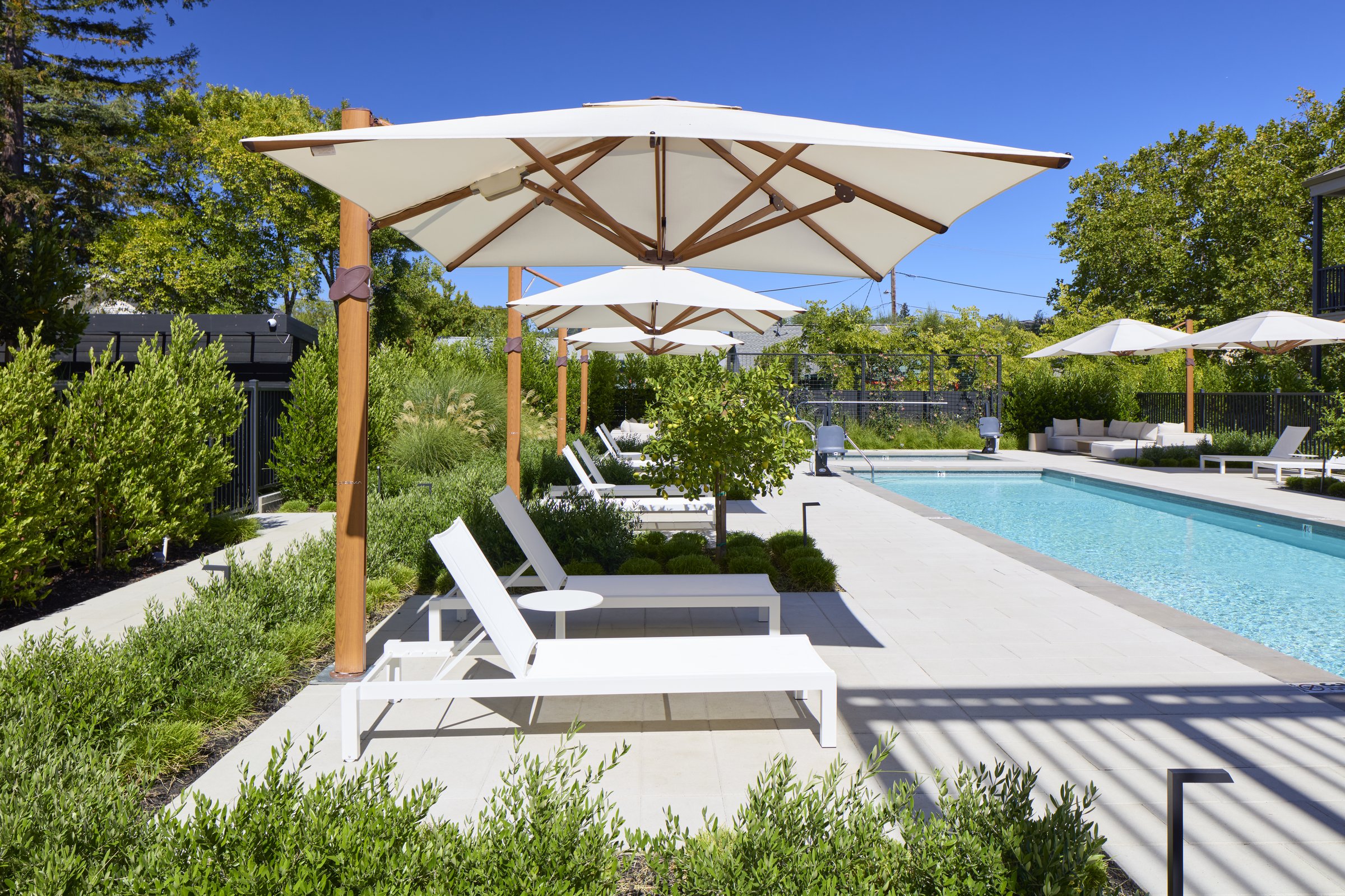 Chaise lounges beside the 50' Full Sun Lap Pool at Duchamp Healdsburg.
