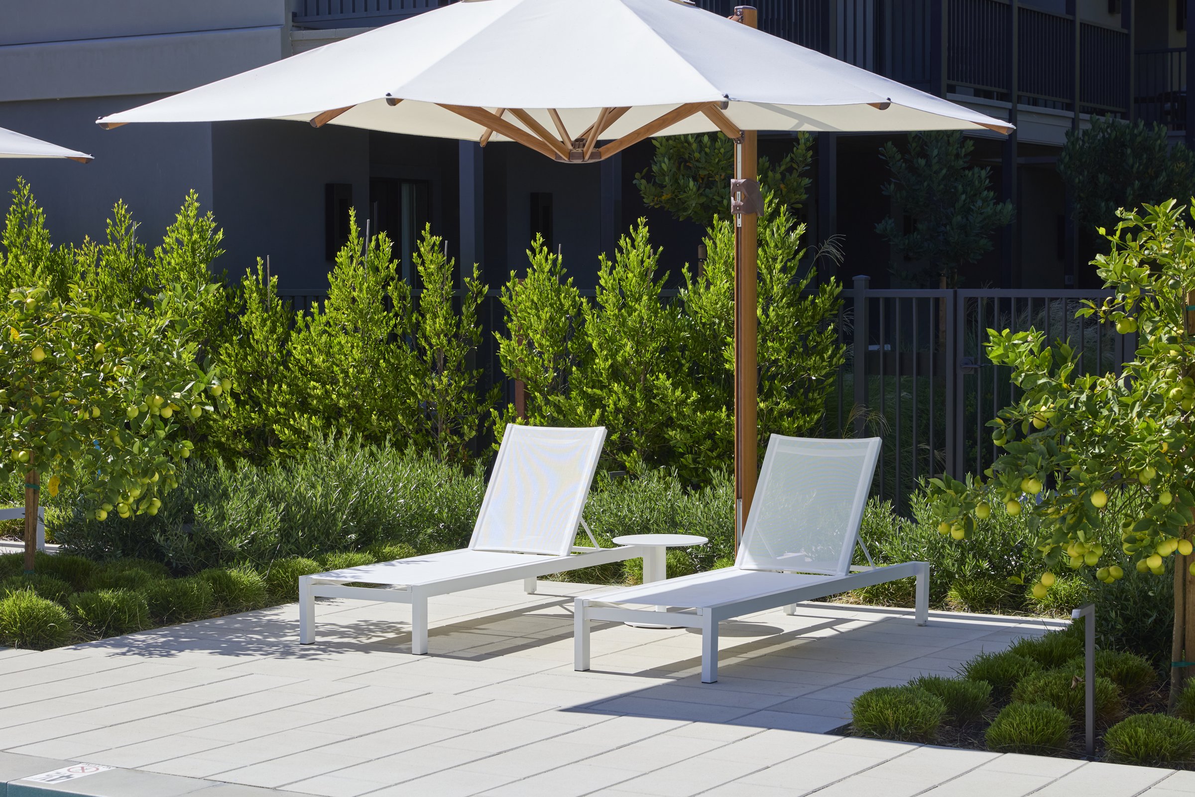 A private chaise patio framed by potted lemon trees.