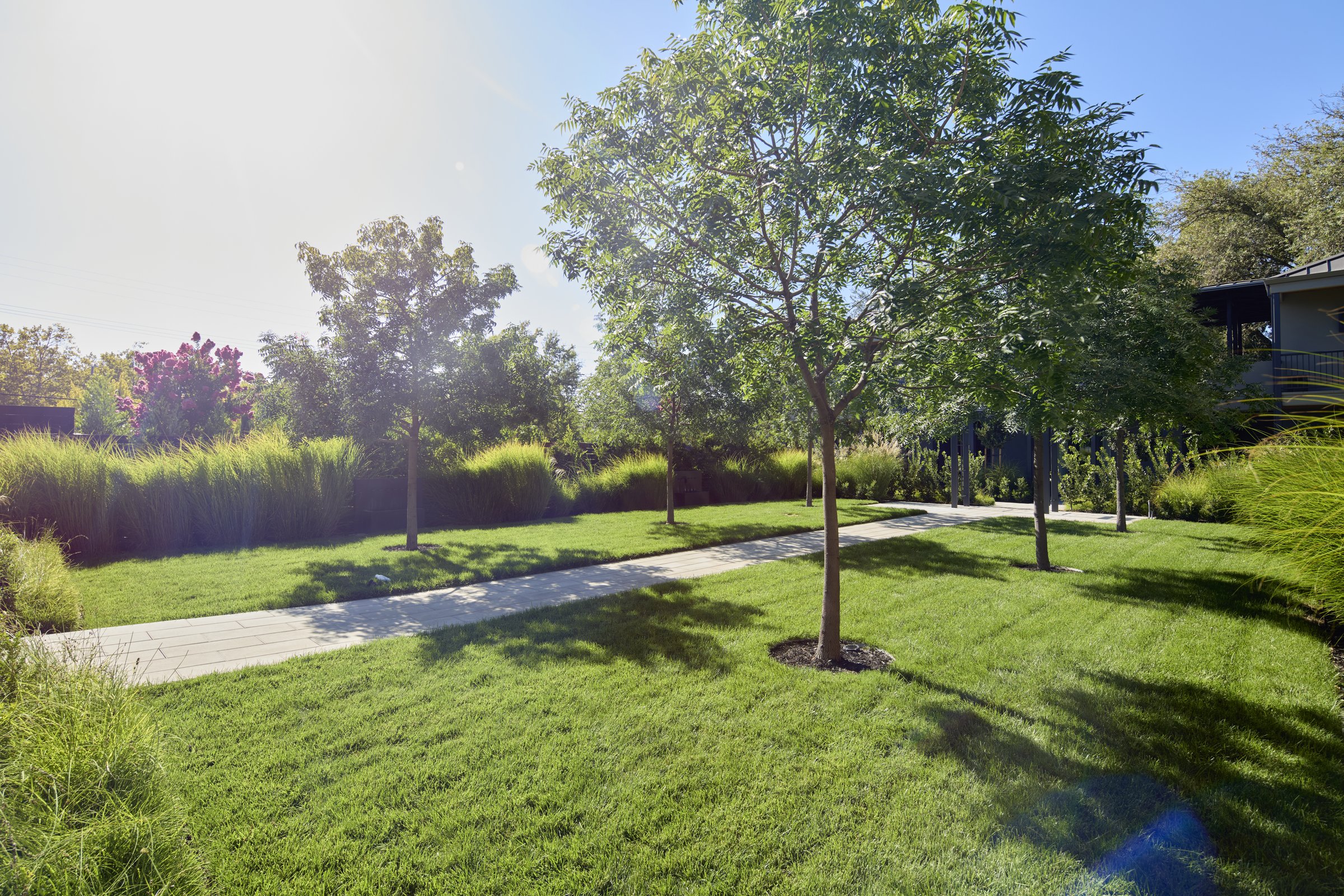 The Grove at Duchamp Healdsburg in afternoon sun.