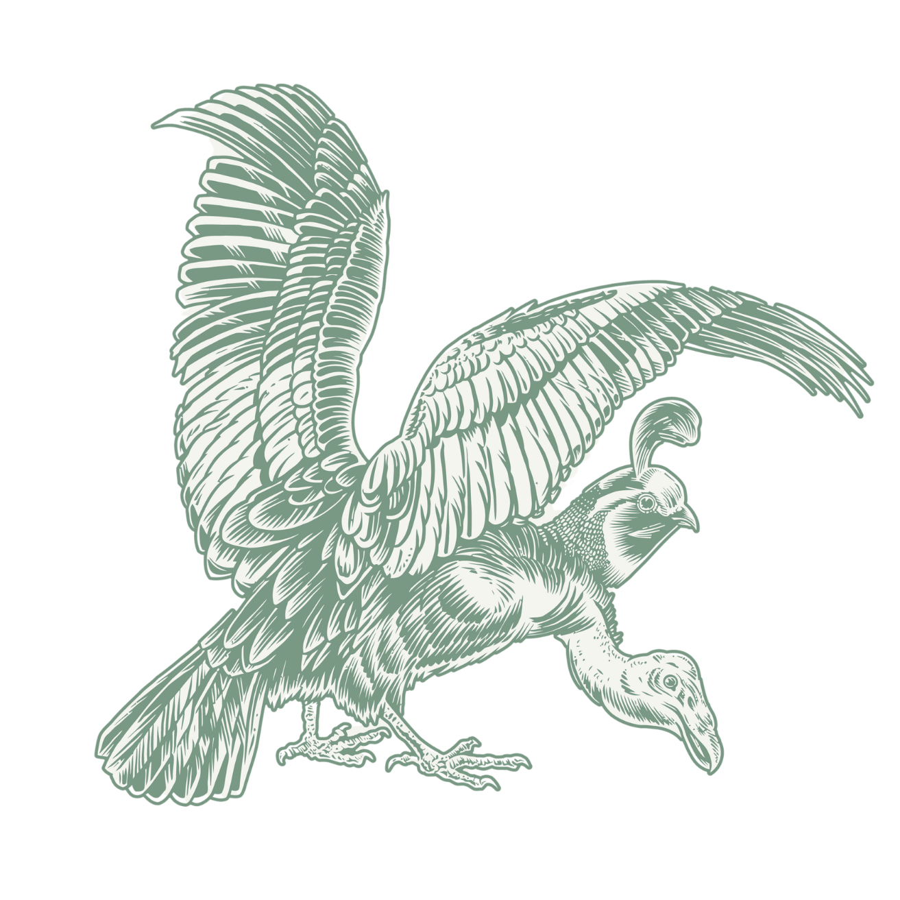 Quail & Condor logo